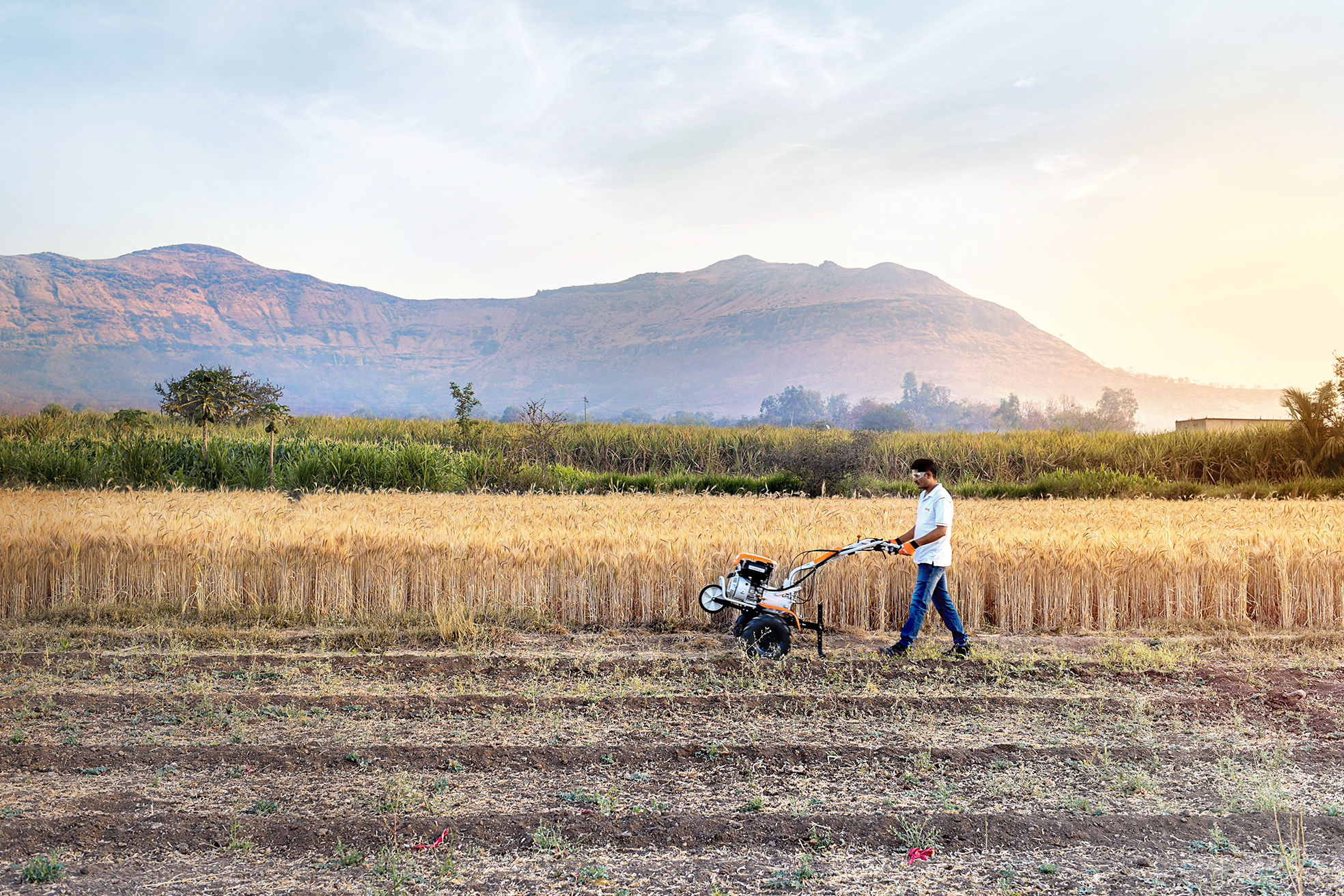 STIHL fertile ground